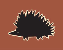 Echidna